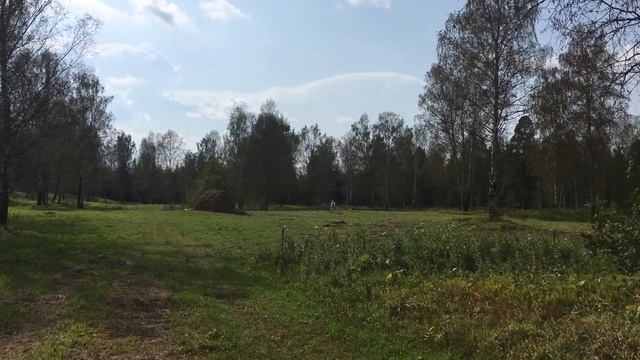 Летом в Томской области смотреть онлайн