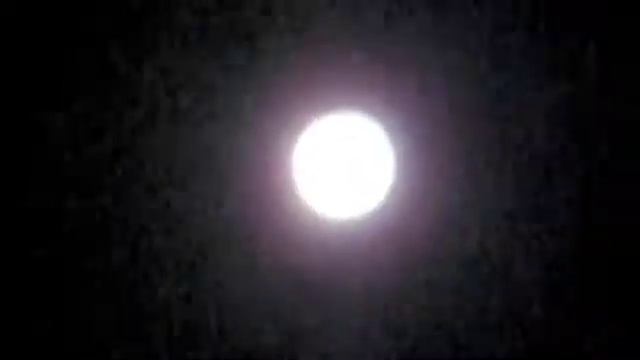 Ted Hoff and Dogs Take Full Moon Hike смотреть онлайн