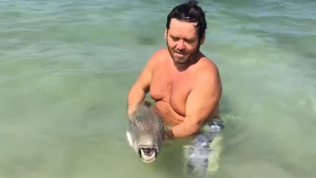 Исмагил Шангареев, его младший сын и рыба тигр. смотреть онлайн