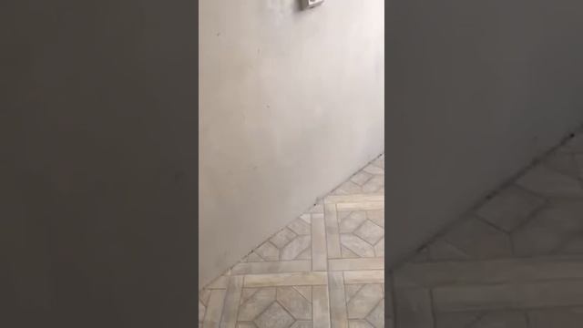 Добавление розеток на кухне смотреть онлайн