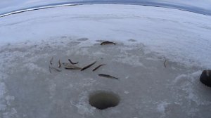 ПОДВОДНАЯ СЪЁМКА.КАК КЛЮЁТ КОРЮШКА ПОДО ЛЬДОМ НА ЗИМНЮЮ УДОЧКУ.КЛЕВАЛА ТАК, ЧТО ДАЖЕ В БАНЮ ОПАЗДАЛ