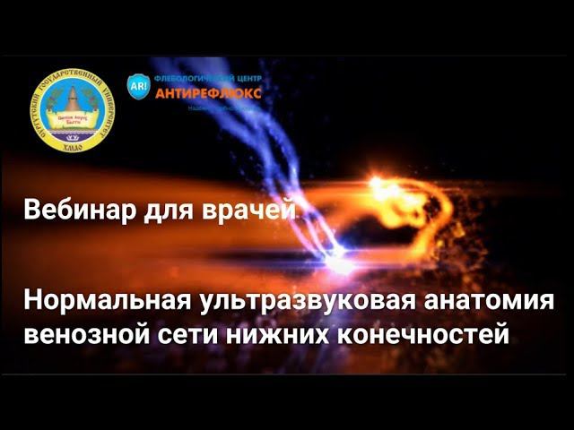 Нормальная ультразвуковая анатомия венозной сети нижних конечностей смотреть онлайн