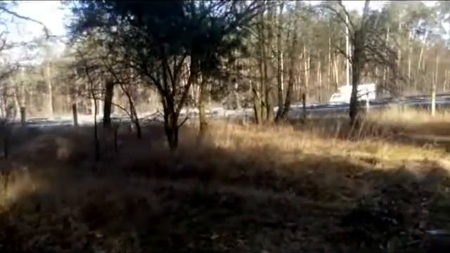 Свадебный гимн Рахманинова 26 nov 2016 video смотреть онлайн