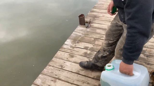 Обработка водоема хлореллой смотреть онлайн