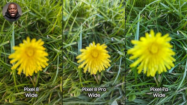 Pixel 8 Pro vs Pixel 8 vs Pixel 7a DEFINITIVE Camera Test смотреть онлайн