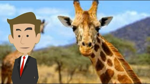 10+ удивительных фактов, в которые вы не сразу поверите смотреть онлайн