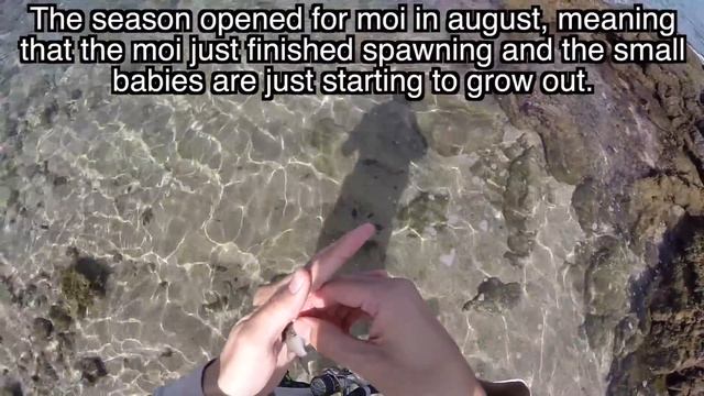 Broke A Reel, Dangled Our Lines, Caught Some Fish! Hawaii Surf Fishing смотреть онлайн