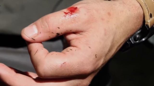 Гадюка обыкновенная. Как выглядит и где живет? смотреть онлайн