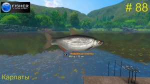 Карпаты. ч.9 На пути к серебру: трофейная плотва - снасти, прикорм.  #88 Прохождение Fisher Online