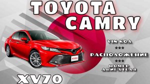 Где находится Vin и номер двигателя на Toyota Camry XV70. Мотор 2.0л (M20A), 2.5л (2AR), 3.5л (2GR).