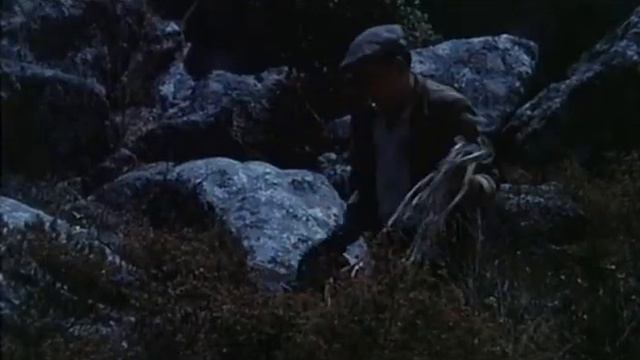 Вопрос чести (1966) смотреть онлайн