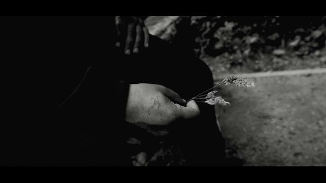 mk5.45 - Птицей стать смотреть онлайн