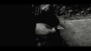 mk5.45 - Птицей стать