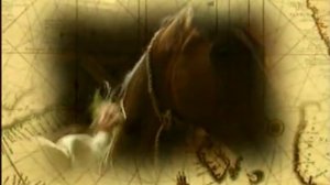 ЛОШАДИНАЯ ЭНЦИКЛОПЕДИЯ НЕВЗОРОВА 2  Лошади скачать бесплатно