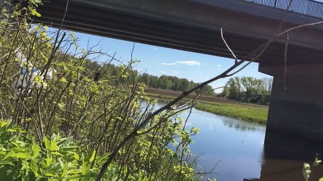 РЫБАЛКА НА ОХТЕ#САНКТ-ПЕТЕРБУРГ смотреть онлайн