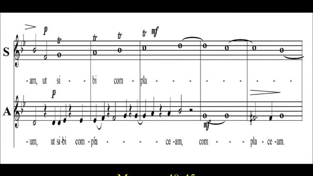 Pergolesi- Stabat Mater - 8. Fac ut ardeat cor meum - Soprano смотреть онлайн