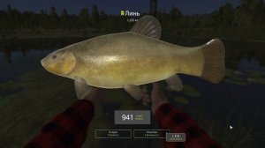 Русская рыбалка 4 ЛИНЬ Комариное озеро Алексей Майоров