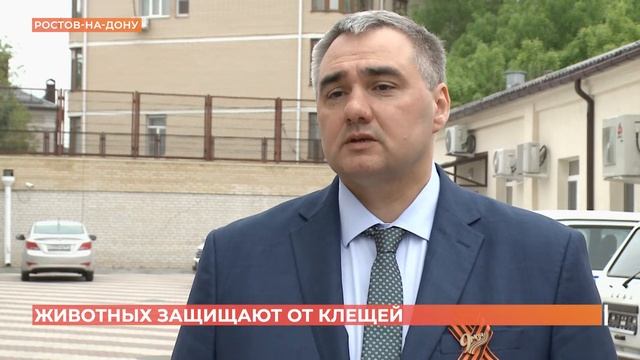 Противоклещевая обработка домашних животных началась в Ростове и области смотреть онлайн