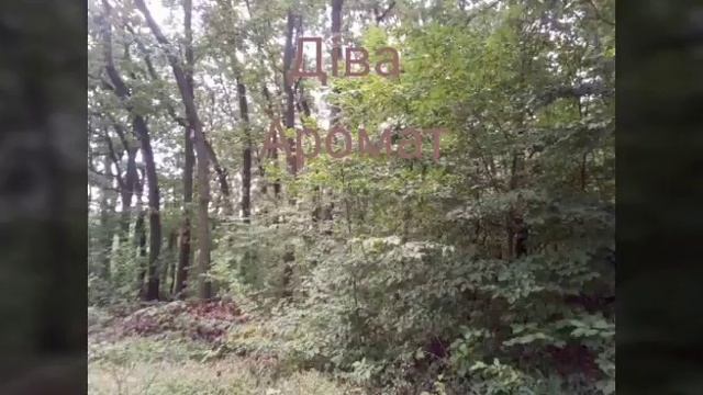 Какие песни у знаков зодиака смотреть онлайн