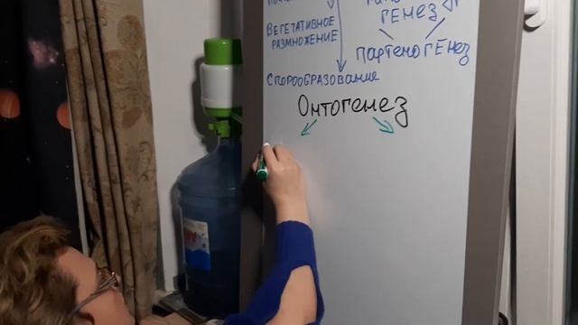 Размножение организмов. Онтогенез смотреть онлайн