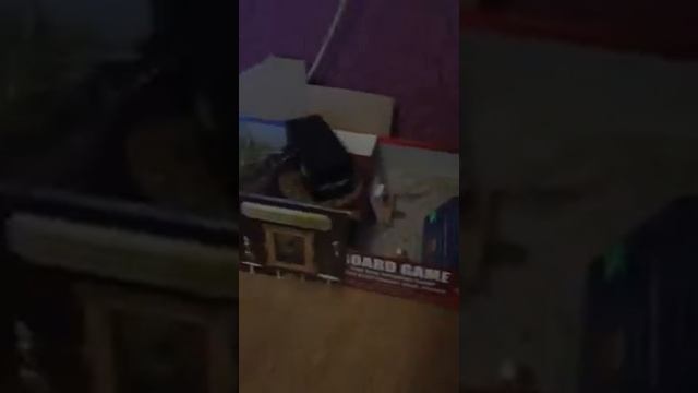 Родились!!!!!!!!!!!!!!! (Мышки) смотреть онлайн