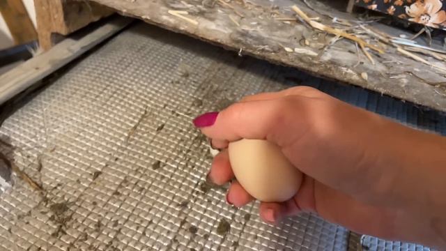 Вопросы и ответы