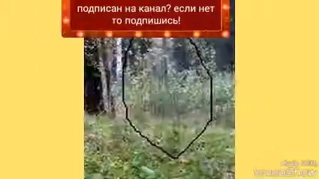 Топ 10 бросающие в дрожь фото смотреть онлайн
