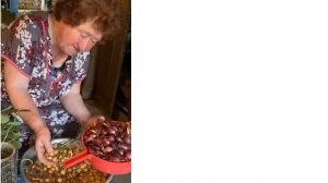 Мамина клубника «Брайтон» плодоносит до самых холодов. Рассада клубники