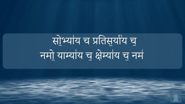 Shri Rudram Namakam with Sanskrit Devanagari - Vidura Barrios смотреть онлайн