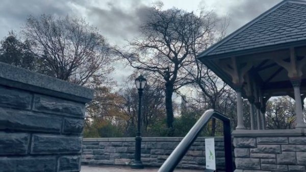 Рассказываю про CENTRAL PARK Нью-йорк