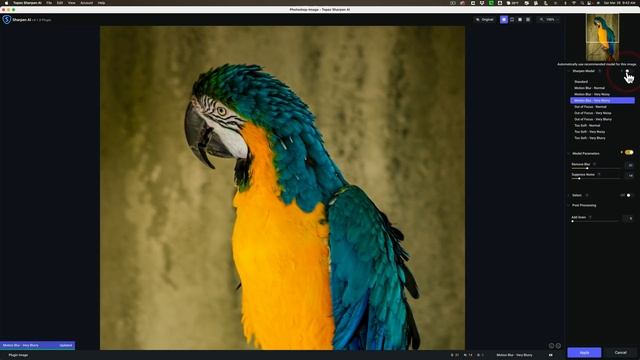 What's NEW in Topaz Sharpen AI ver 4.1.0 смотреть онлайн