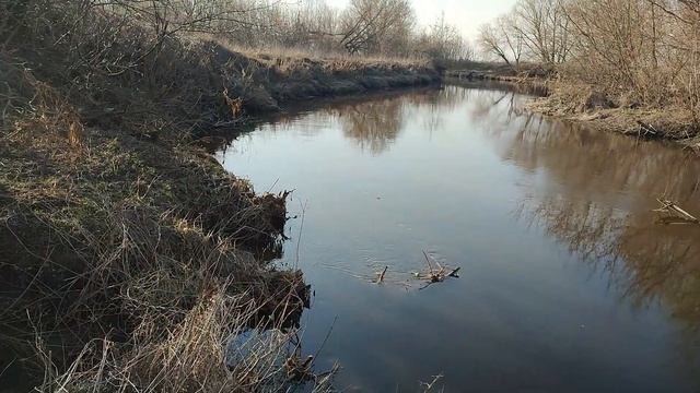 Видеоминутка с реки Гжелка. Очень немелкая плотва. 12 04 2023. смотреть онлайн