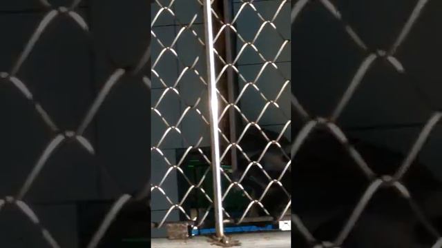 Экскурсия по обезьяньему питомнику(НИИ) Сочи. Веселое.(СМОТРЕТЬ ВСЕМ❗) смотреть онлайн