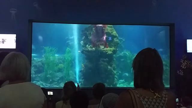 Вьетнам Нячанг Vinpearl Шоу русалок смотреть онлайн