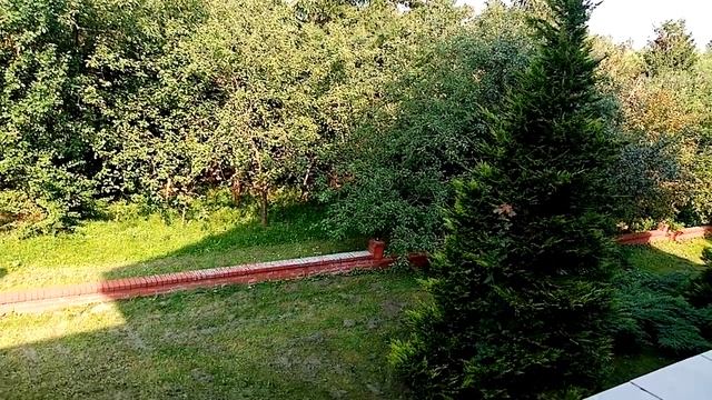 Польша и Россия, сравнение на примере аистов и косуль. смотреть онлайн