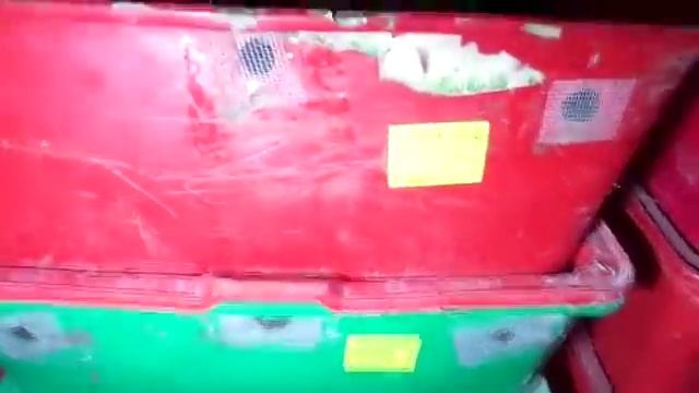 Отчет/Солома, прошло полмесяца/Разведение червя дендробена