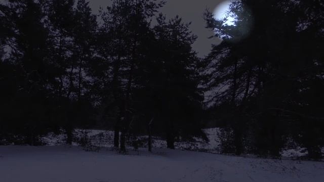 РАССЛАЛЯЮЩИЕ ЗВУКИ ПРИРОДЫ. ШУМ ВЬЮГИ. ШУМ ВЕТРА. смотреть онлайн