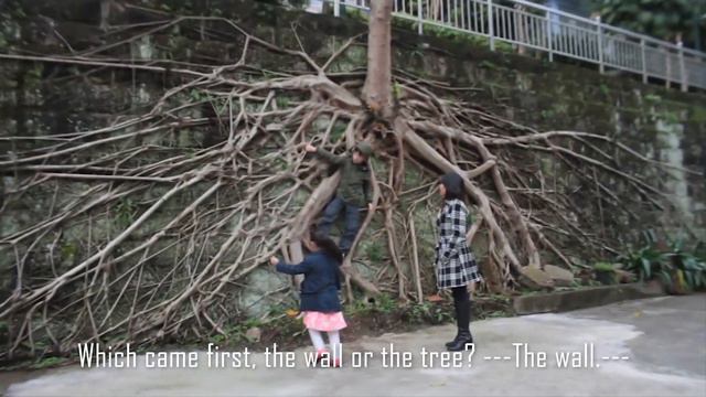 Family Travel China - Sanya To ChongQing, China (Pt.1 Of 5)