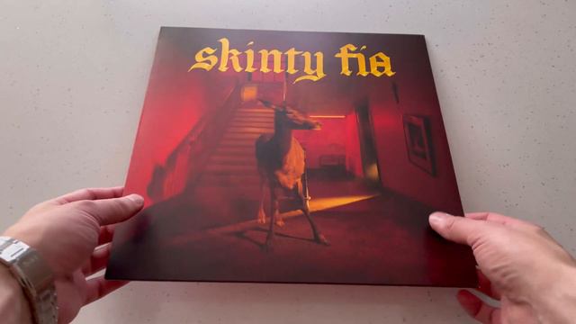 Не покупай винил, пока не посмотрел это видео! Fontaines D.C. - Skinty Fia смотреть онлайн