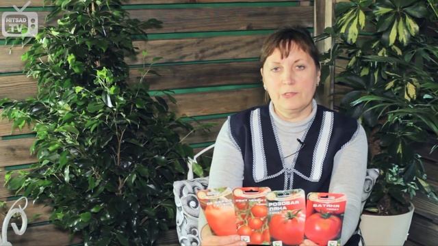 томаты индетерминантные,детерминантные,супер деторминантные смотреть онлайн