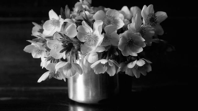 Рисуем вместе 3. Работа с тоном смотреть онлайн