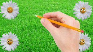 Прикольный футаж С Днем Рождения. Веселые ромашки