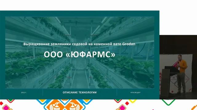 14 Земляника на каменной вате Grodan это легко – Данил Долгуша и Илья Патиев смотреть онлайн