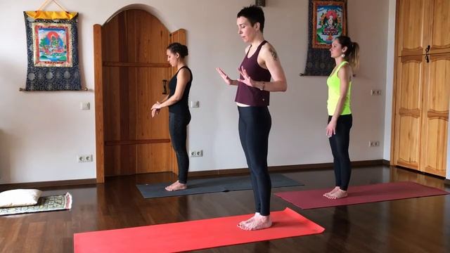 Семинар "Основы выстраивания асаны" смотреть онлайн