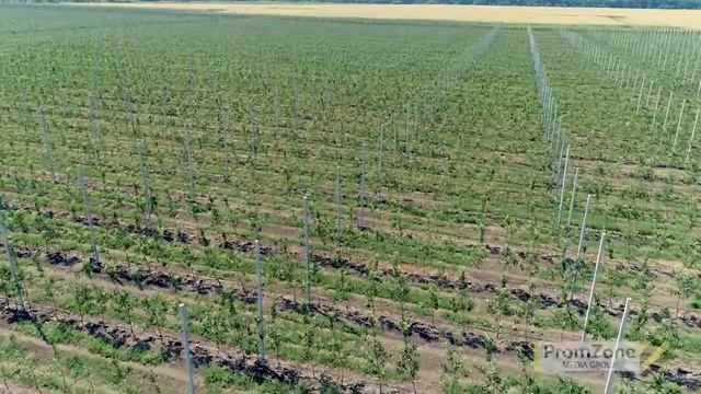 Аграрный бизнес Украины. Промо ролик. смотреть онлайн