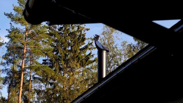 Печь ABX Oregon смотреть онлайн