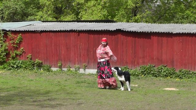 Танцы с собаками. "Кубок РКФ 2014". смотреть онлайн