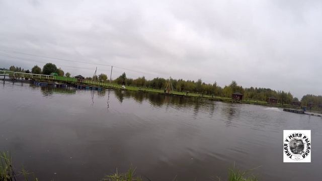 Рыбалка форель Лагуна Оз.Игумное 30.09.21 смотреть онлайн