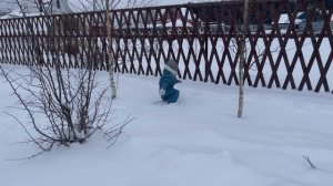 ДЕНЬ РОЖДЕНИЯ МИРОНА // 3 ГОДА // ОТМЕЧАЕМ В ДЕРЕВНЕ С СЕМЬЕЙ