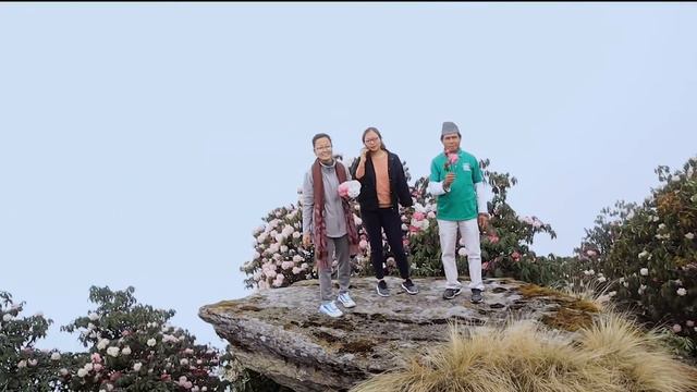 BEAUTIFUL LALIGURANS - RHODODENDRON | NATIONAL FLOWER OF NEPAL | THADE | OKHALDHUNGA смотреть онлайн